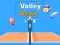 Jwèt Volley Bean sou entènèt