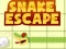 Jwèt Snake escape sou entènèt