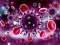 Jwèt Coronavirus Puzzle sou entènèt