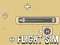 Jwèt Flight Sim sou entènèt
