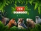 Jwèt ZOO Trivia sou entènèt
