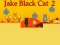 Jwèt Jake Black Cat 2 sou entènèt