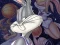 Jwèt Space Jam sou entènèt