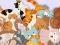 Jwèt Find The Kitty sou entènèt