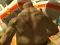 Jwèt Monster Simulator sou entènèt