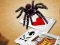 Jwèt Jumping Spider sou entènèt