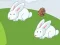 Jwèt Crazy Eggs sou entènèt