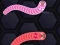 Jwèt Angry Worms sou entènèt