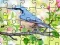 Jwèt Jigsaw Puzzle: Spring sou entènèt