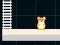 Jwèt Hamster Grid Even Odd sou entènèt
