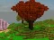 Jwèt Mini Craft sou entènèt