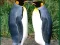 Jwèt Penguin Puzzle sou entènèt
