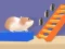 Jwèt Hamster Stack Maze sou entènèt
