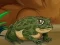 Jwèt Frogs Matching sou entènèt