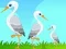 Jwèt Little Garden Escape sou entènèt