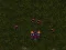 Jwèt Starcraft 3 sou entènèt
