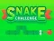 Jwèt Snake Challenge sou entènèt