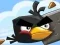 Jwèt Crazy Birds sou entènèt