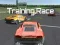 Jwèt Training Race sou entènèt