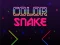 Jwèt Color Snake sou entènèt