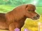 Jwèt My Dear Pony sou entènèt