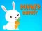 Jwèt Runner Rabbit sou entènèt