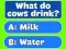 Jwèt Trivia Best Family Quiz sou entènèt