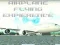 Jwèt Airplane Flying Expierence sou entènèt