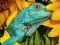 Jwèt Ultimate Puzzles Animals 6 sou entènèt