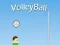 Jwèt VolleyBall sou entènèt