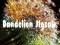 Jwèt Dandelion Jigsaw sou entènèt