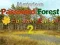 Jwèt Mysterious Password Forest Autumn Edition 2 sou entènèt