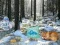 Jwèt Winter Wonderland Forest Adventure sou entènèt