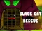 Jwèt Black Cat Rescue sou entènèt