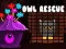 Jwèt Owl Rescue sou entènèt