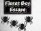 Jwèt Floret Boy Escape sou entènèt