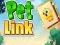 Jwèt Pet Link sou entènèt