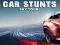 Jwèt Car Stunts Sky Tour sou entènèt