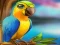 Jwèt Little Parrot Escape sou entènèt