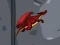 Jwèt Dragon Domination sou entènèt
