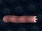 Jwèt Math Slither sou entènèt