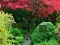 Jwèt Maple Leaf Garden Escape sou entènèt