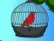 Jwèt Red Bird Rescue sou entènèt