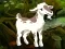 Jwèt Searching Goat Child sou entènèt