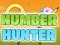 Jwèt Number Hunter sou entènèt