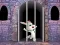 Jwèt Victory Rabbit Escape sou entènèt