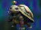 Jwèt Isolated Turtle Escape sou entènèt