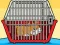 Jwèt Rescue The Hamster From Cage sou entènèt