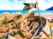 Jwèt Pirate Mysteries sou entènèt
