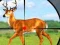 Jwèt Wild Hunt Hunting Games 3D sou entènèt